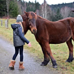 Rencontre