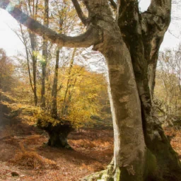 Lenouaillejeanpierre3@gmail.com