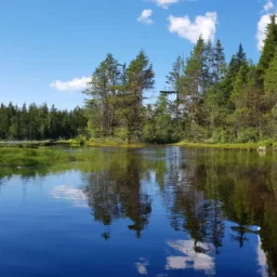 Haluan tuottaa kaöuja