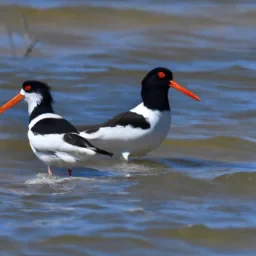 Pourquoi Jogg Jonathan s’est séparé de son copain Poli