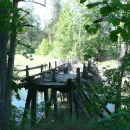 Kuva palavasta EU lipusta