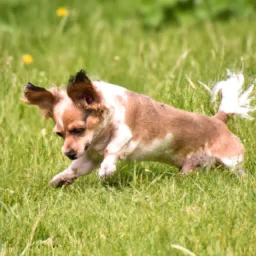 Poppy playtime 1