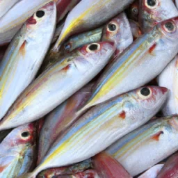 Feesh trade