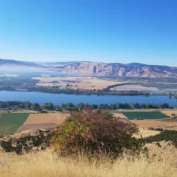 Abigailmills5679@gmail.com