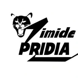 Crée moi un logo mélanger de puma Nike adiddas