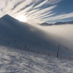 La skibidi tenta druit