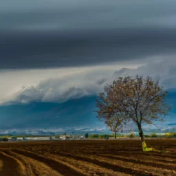 Mohsenbenina@gmail.com