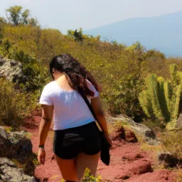 Ingridmarseguerra432@gmail.com