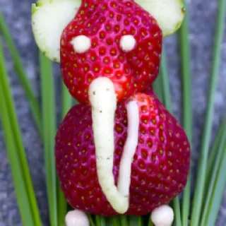 Strawberry éléphant