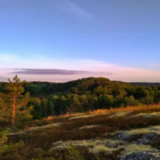 Viiden vuoden takuu