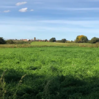 Je voudrais générer une photo merci