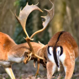 Qui sont assez facilement retournés