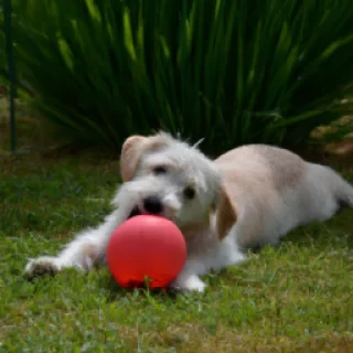 Poppy playtime chapitre 1