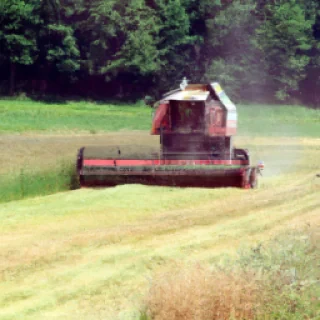 Farming