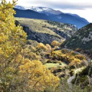 la couleur des les