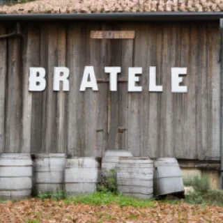Cheat steal à brairot