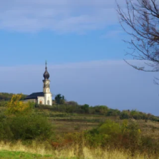 grzesitzar@gmail.com