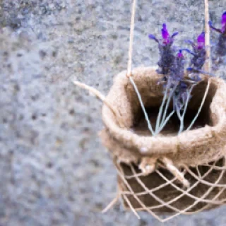 Valerievauttier@orange.fr