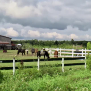 Un Ranch avec chevaux