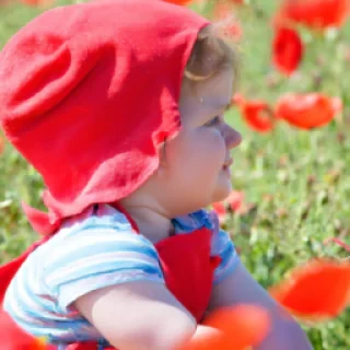 Poppyplaytime