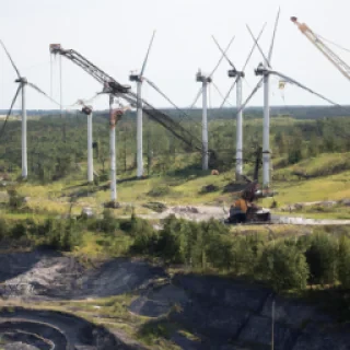 Suolistosyövän seulontaesitietolomake