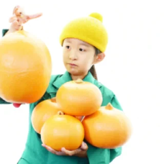 7UIGNHKq