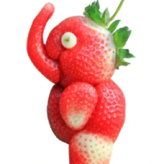 stawberry ellephant