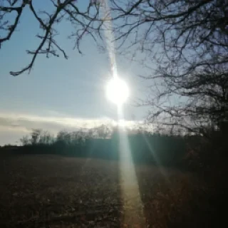 ❤️‍🔥✌🏼🥶😶‍🌫️🫥❤️😍😘