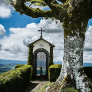 Jeanclaude.roch@neuf.fr