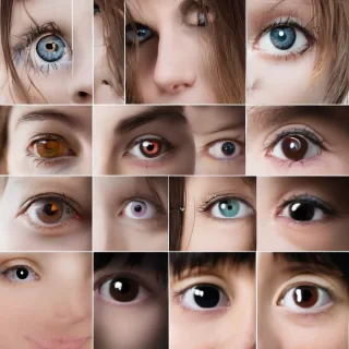 Contacts