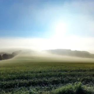 https://r.ia-art.fr/2EWHDJ93uK