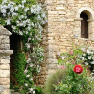 Touret.michele@orange.fr