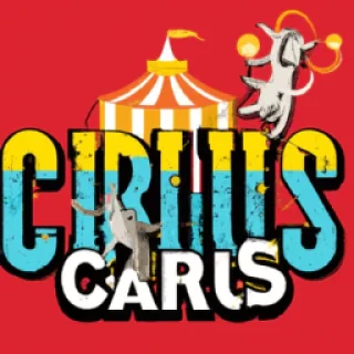 Amazing digital circus