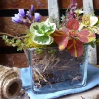 Image de Emma clarke