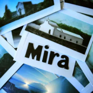 Photos