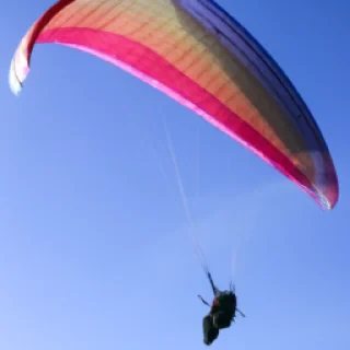 Voler dans les aires