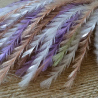 rosehelene.sainterose@gmail.com