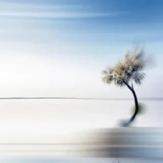 es ce que tu peux modifier une image ?