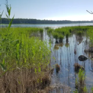 Kuva palavasta EU lipusta