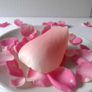 amiotemilie986@gmail.com