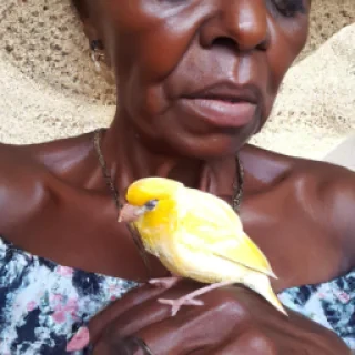 Un canari porté par une femme africaine