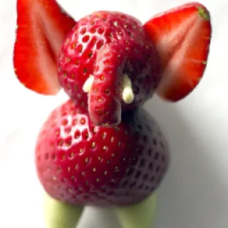 Strawberry elephant