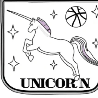 Unicorne platine basketball