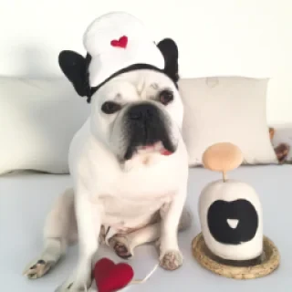 Oui