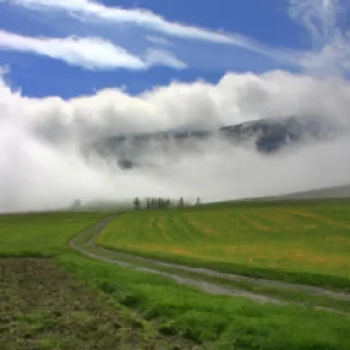 Grammont76@hotmail.fr