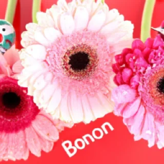 Bonjour