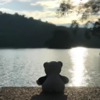 It’snt a good think ?