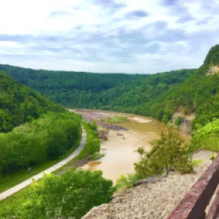 Abigailmills5679@gmail.com