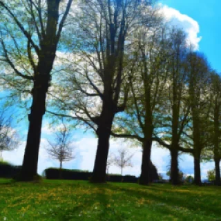 Pour récupéré la photo perdue