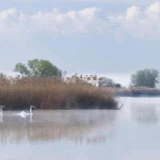 Delta